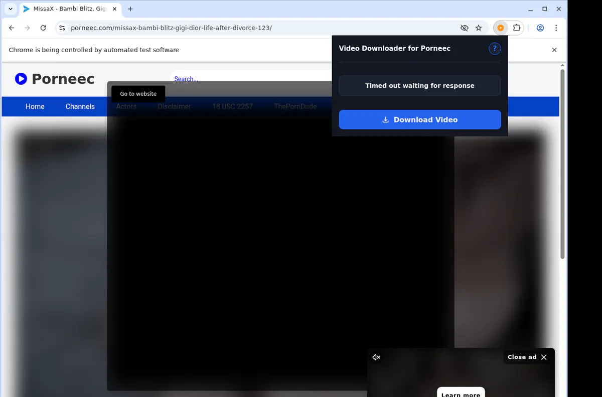 Porneec Video Downloader screenshot 2