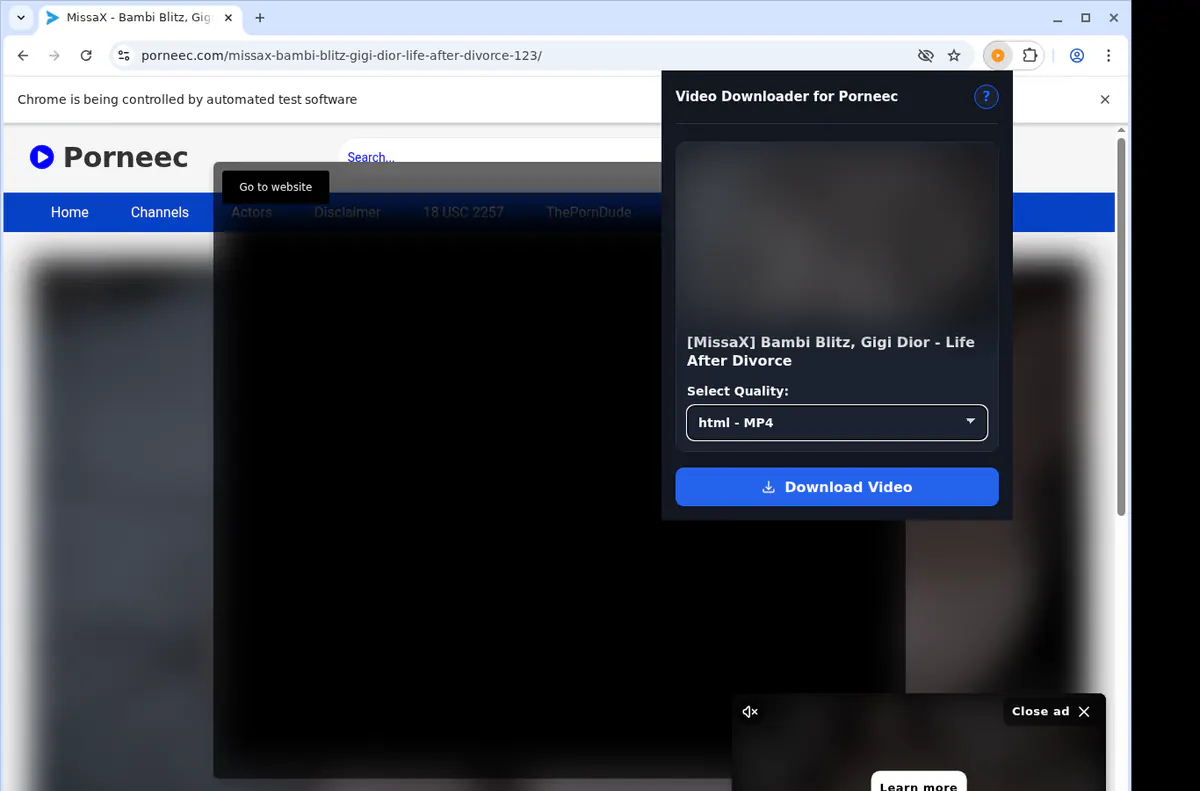 Porneec Video Downloader screenshot 3