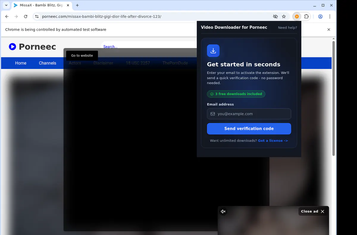 Porneec Video Downloader screenshot 5